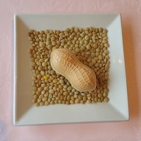 貝殻亭 - 千葉県ならではの落花生をモチーフに。（笑）外は最中で中にはイノシシのリエット。