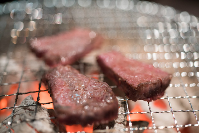 Yaki Gibier Wana Hacchobori