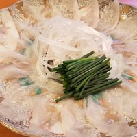 ふく政 - ④虎河豚の薄造り(てっさ)
                身が薄くピンク色に染まっており、極上の虎河豚だと思われます。
                白身であっさりとしつつも、じんわりと拡がる旨みがあります。
