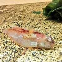 鮨 四 - 