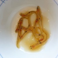 三四郎 - 