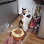 ベーカリーいずみ - プリンちゃん