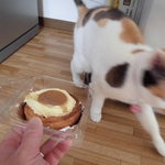 ベーカリーいずみ - プリンちゃん