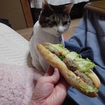 ベーカリーいずみ - ハンバーグパン