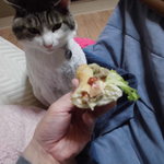 ベーカリーいずみ - ハンバーグパン