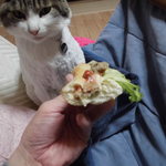 ベーカリーいずみ - 