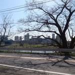 多摩川ダイナー - テラス席からの風景