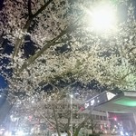 Ishiyaki Ando Wain Iwata - 桜山駅前は桜がもう綺麗に咲いていました(*^.^*)