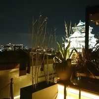 BLUE BIRDS ROOF TOP TERRACE - 