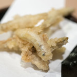 うを徳 - 2018.3 琵琶湖稚鮎天ぷら