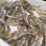 うを徳 - 2018.3 琵琶湖稚鮎