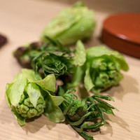 うを徳 - 2018.3 魚沼の蕗の薹（フキノトウ）、安曇野の接骨木（ニワトコ）