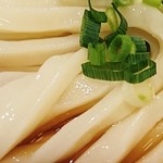 手打うどん 長谷沼 - ぶっかけ