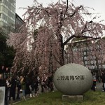 焼き鳥 とりひろ - 上野公園入口のしだれ桜が咲いていました　春です