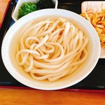 Mikiudon - かけうどん（冷）1玉です。（2018.3 byジプシーくん）