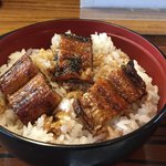 うな博 - 特上うな丼