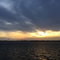 シンフォニー東京湾クルーズ - 