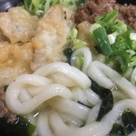 Tachibana Udon - 