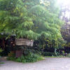 古民藝・参拾六番 森の中の古民家 ガーデンレストラン