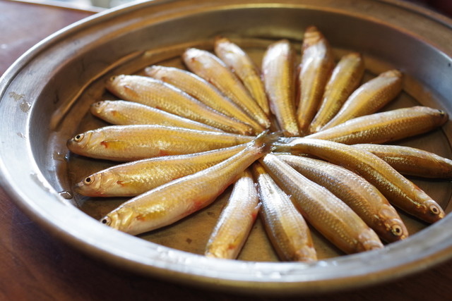 魚清楼 堅田 郷土料理 その他 食べログ 魚清楼 堅田 郷土料理 その他 食べログ