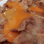 スタミナカレーの店バーグ - スタミナカレー・生（770円）＋中盛（160円）＋肉増し（330円）
      