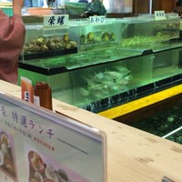 博多料亭 稚加榮 - 