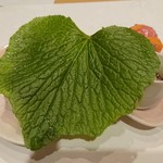 日本料理 きん魚 - 