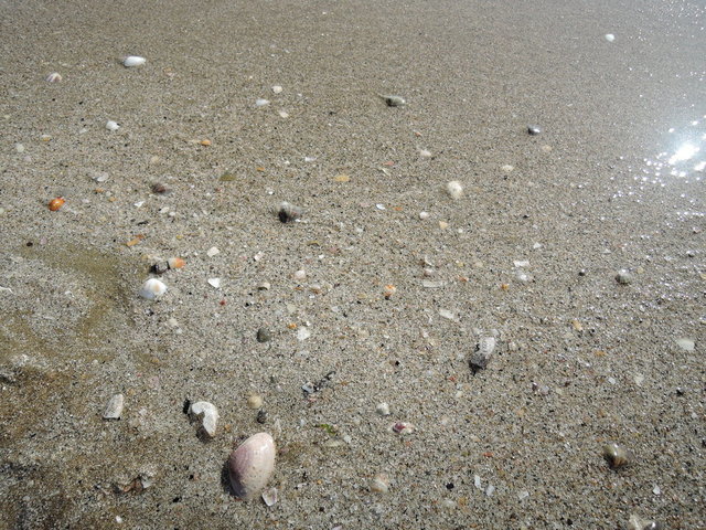 福間ラーメン ハイレベルな久留米ラーメンなんだけど ろくでなし 福間本店 とロクでもないこっさん By 現場のゆっき 特派員 福間ラーメンろくでなし 福間本店 福間 ラーメン 食べログ