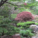 結婚式の撮影をしてました。