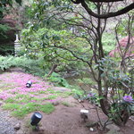 日本庭園を見ながらのお食事！