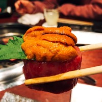 和牛焼肉 とびうし 飯田橋 - 