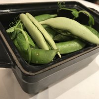 レザンファン ギャテ - 