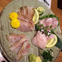 のどぐろ専門 銀座 中俣 - 