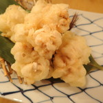 真鱈の白子の天ぷら（１２月下旬～２月ころ）