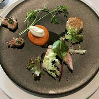 LA TERRE - 