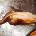 鮨 とびこめ - 鳥貝