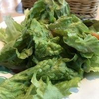 トラットリア・イタリア 品川店 - 
