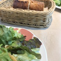 トラットリア・イタリア 品川店 - 