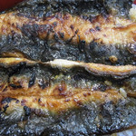 御食事処 スズキ - 裏皮