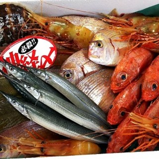 전국에서 신선한 생선을 고집하고 시장에서 매일 구매하고 있습니다.