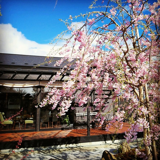 精進スイーツ結び（Musubi Macrobiotic dessert） - 登米市その他（カフェ）の写真