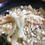 Henkotsu udon mabi - 麺アップ