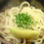 讃岐うどん 要 - ぶっかけうどん(冷)