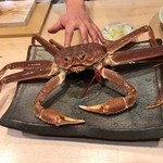 味あら井 - 本日のカニちゃんです。