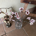 キュイエット - 