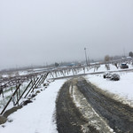 キュイエット - 