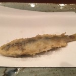 天冨良 よこ田 - 