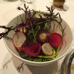 レストラン ラッセ - 30年3月　サラダ、自家製ドレッシング