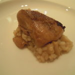 エノテカ・オルモ・デル・カウカソ - 