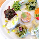 アプテカ フレーゴ - 